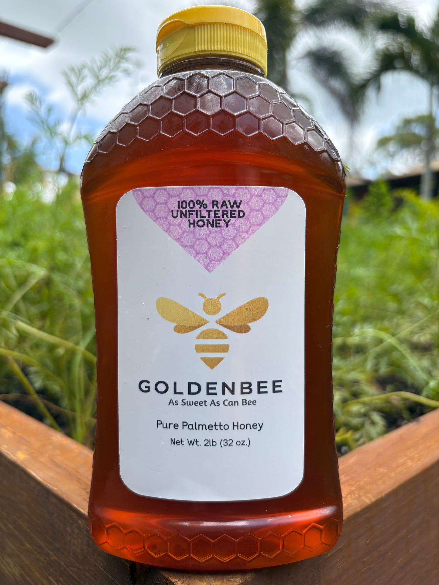 Florida Palmetto Honey - 2lb