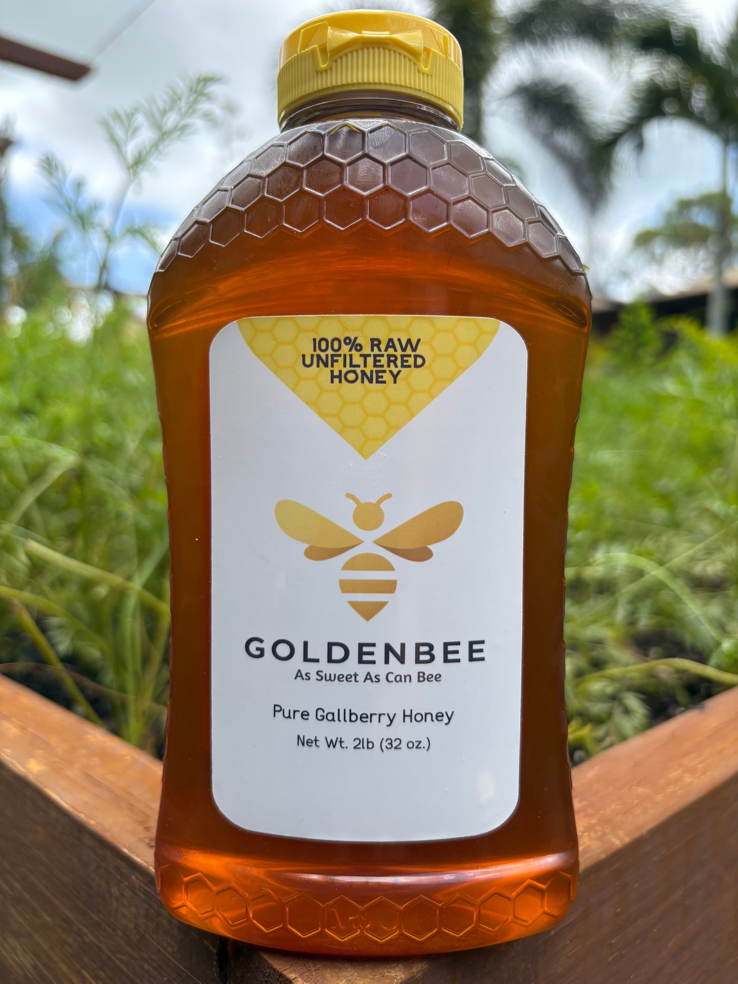 Florida Gallberry Honey - 2lb