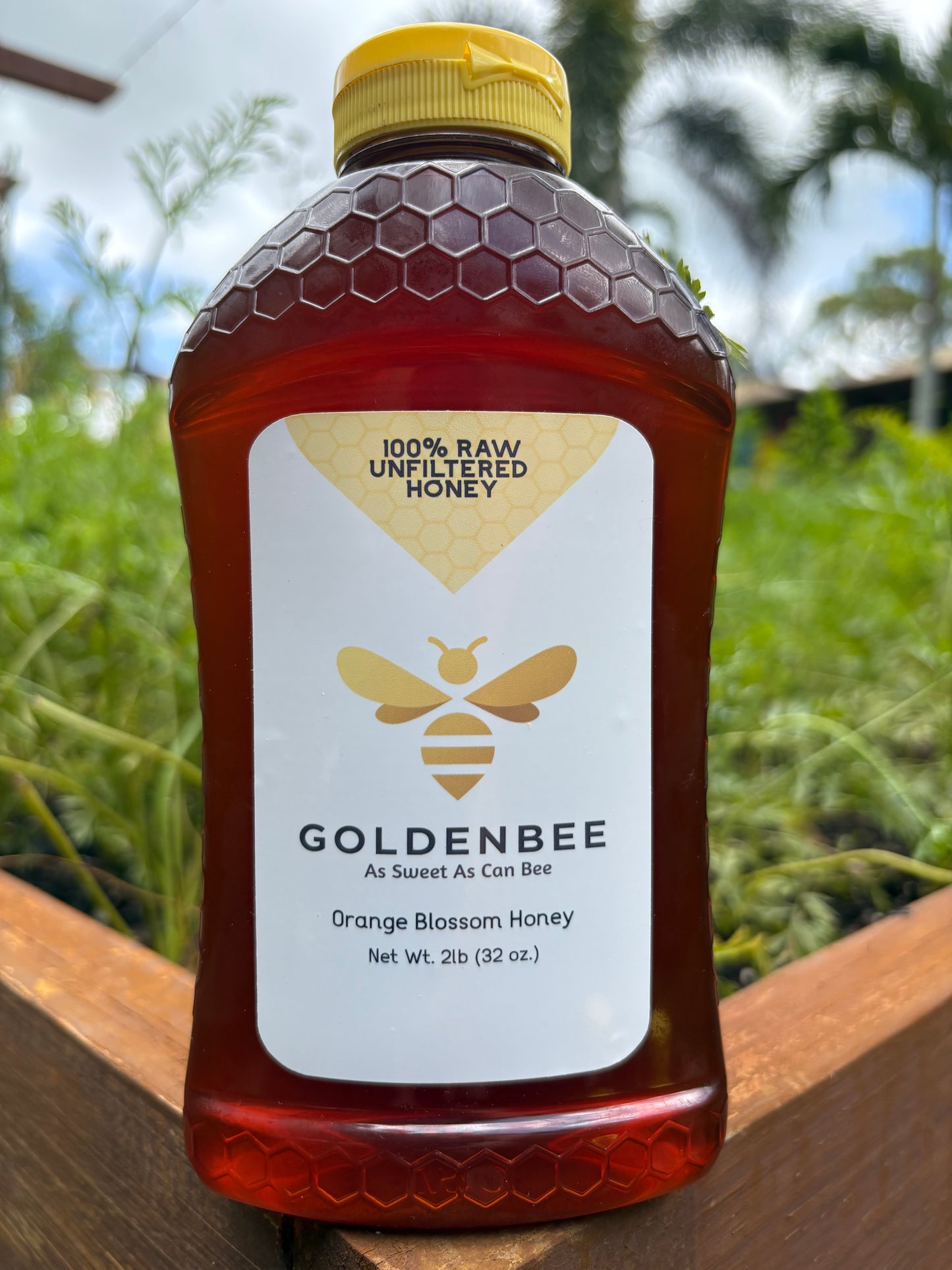 Florida Orange Blossom Honey - 2lb
