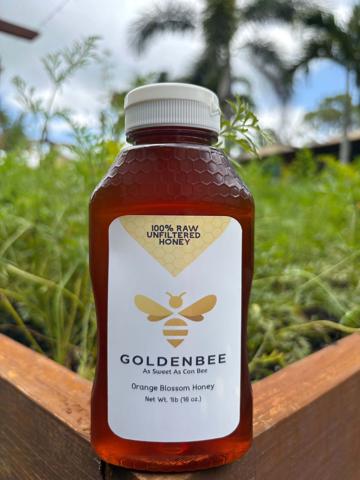 Florida Orange Blossom Honey - 1lb