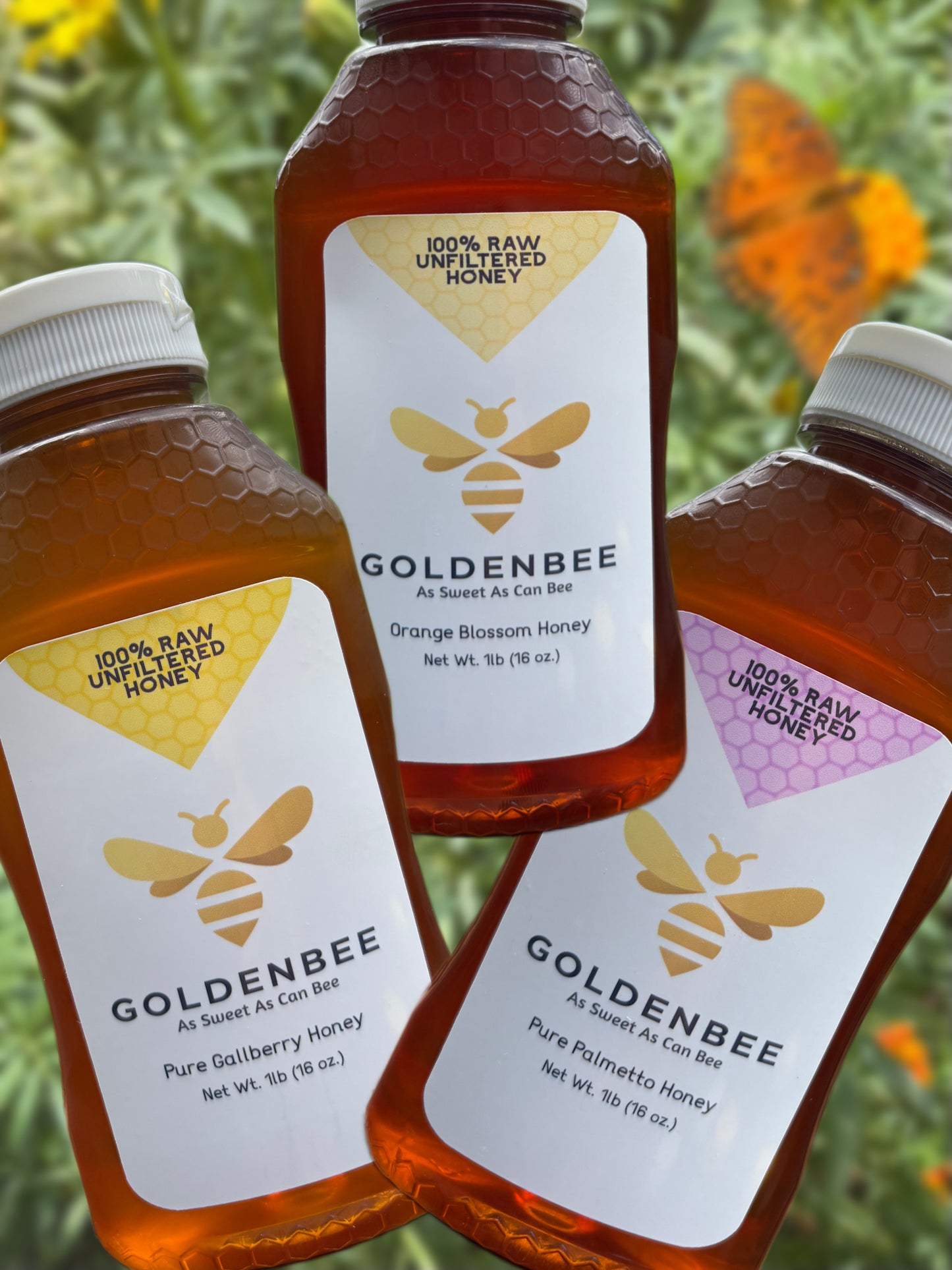 GoldenBee Honey Sampler 3-Pack - 3lb