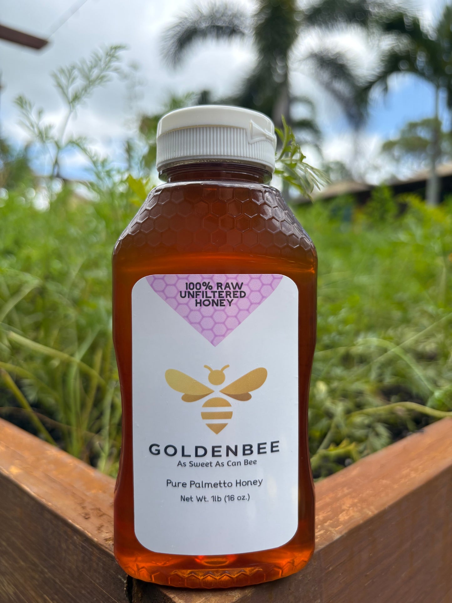 Florida Palmetto Honey - 1lb
